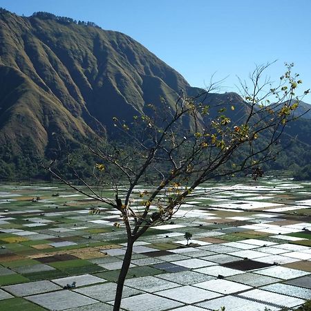 Rinjani Green Park Syariah Hotel Сембалун Лаванг Экстерьер фото