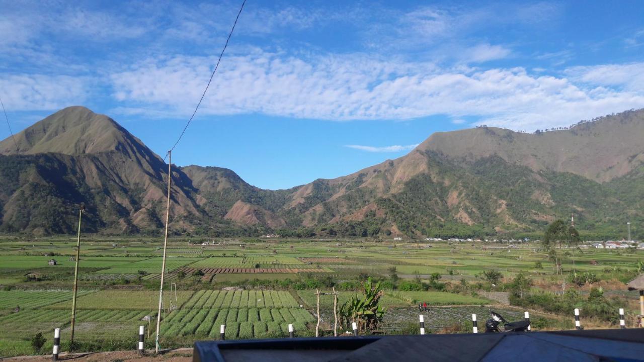 Rinjani Green Park Syariah Hotel Сембалун Лаванг Экстерьер фото