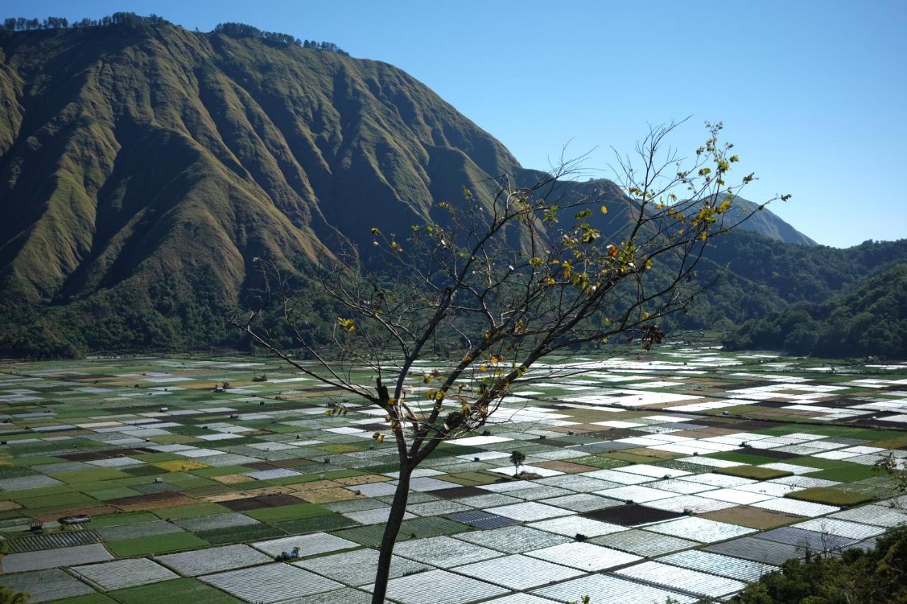 Rinjani Green Park Syariah Hotel Сембалун Лаванг Экстерьер фото